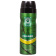 aleda_men_Commando aleda_men_Commando