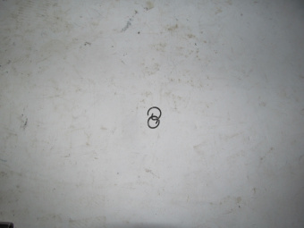 4620753548510.jpg