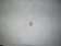 4620753548510.jpg 4620753548510.jpg